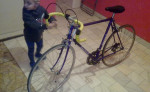 Predám cestný bicykel favorit – fotka 3
